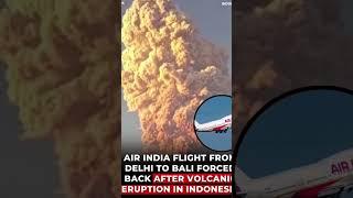 AIR INDIAAIR INDIA FLIGHT FROM DELHI TO BALI FORCED BACK AFTER VOLCANIC ERUPTION IN INDONESIA