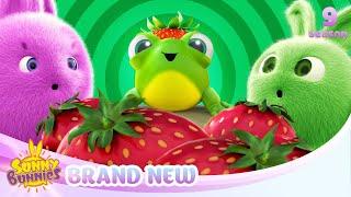 Mischievous Mimi - SUNNY BUNNIES | BRAND NEW EPISODE | Season 9 | Cartoons for Kids