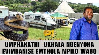 UMPHAKATHI  UKHALA NGENYOKA EVIMBANISE EMTHOLA MPILO WABO