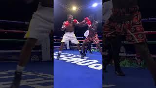#daringsidereports #boxing #ringsideboxing #sport #world #championshipring #worldboxing #ringside