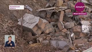 Нашествие птиц: орнитологи аэропорта обратились к нескольким районным акиматам Алматинской области