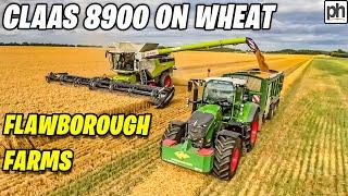 CLAAS 8900 LEXION COMBINE HARVESTER WORKING IN WHEAT #harvest2024