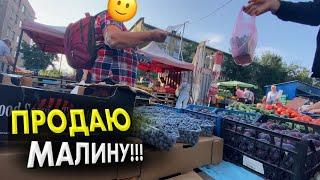 В Києві на базарі продаю Полтавську малинку.Скільки коштує малина на базарі⁉️