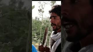 Rajasthani Dailoge ( Rajiyo Rabiyo)