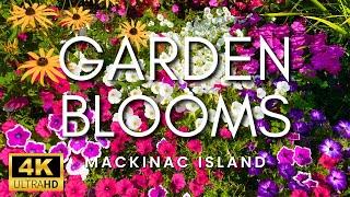 AMAZING Flower Blooms and Peaceful Music | Mackinac Island Flower And Garden Tour 2024