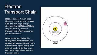 Scientific Breakthrough of GVL: The Most Energetic Laser in the World | Erchonia® Lasers