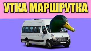 Миньон Шампиньон Белка Тарелка Утка Маршрутка Котик Компотик