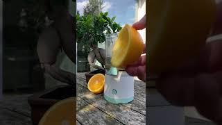Is apple juice better than orange juice?