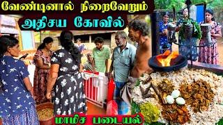 யாழில் மாமிச வழிபாடு நடக்கும் கோவில் | Jaffna Village Temple | Inuvil | Ks Shankar | Sri Lanka