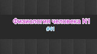 Физиология.Показатели гемодинамика сосудов. Примеры на артериальной и венозной гиперемии.#41