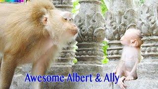 Awesome Mama Ally Lip Smacking With Gorgeous Baby Albert Looking So Wonderful  ( Review Video )