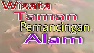 WISATA TAMAN PEMANCINGAN ALAM