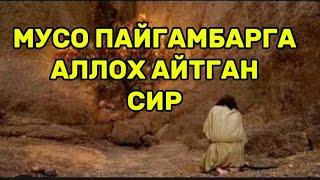 МУСО ПАЙҒАМБАРГА АЙТИЛГАН СИР