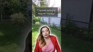 Забор на участке Часть 1 #ландшафтныйдизайн #сад #дача #забор @BlogProDom