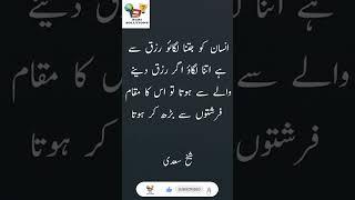 Sheikh Saadi Quotes | Hikayat Saadi | Islamic Quotes | Islamic Shorts | Shorts Quotes | New Short