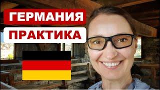 Как найти практику в Германии. Мой опыт