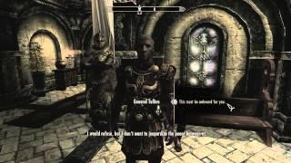 Elders Scroll: Skyrim General Tullius at the Thalmor party