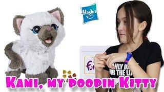 Игра котенок Ками - Kami, my poopin Kitty, Hasbro, FurReal Friends. Обзор от Анны