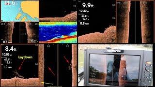 First look on the water with the Raymarine Element