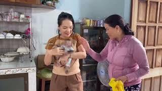 Monkey Linda saves and protects Mother in difficult situations 1