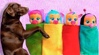 Are You Sleeping Brother John song | Dog Mr. Rich Kids Songs and more Nursery Rhyme Song