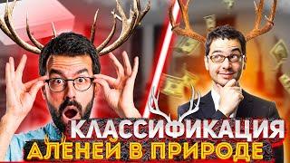 Классификация АЛЕНЕЙ в СОВРЕМЕННОСТИ  | Какие АЛЕНИ бывают…