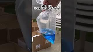 Shipping LIVE GOLDFISH in the mail!