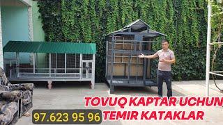 Tovuq Katak tel+998976239596