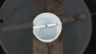 Ultimate DIY Multiple Mouse Trap 5 Gallon Bucket