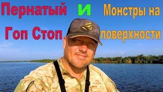 Пернатый Гоп Стоп и монстры на поверхности.