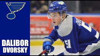 NHL Prospects : Dalibor Dvorsky - 23-24 Highlights