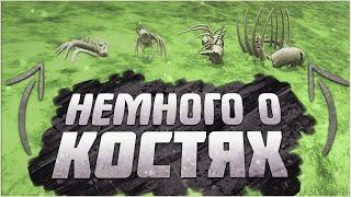 Spore: Немного Об Останках | Spore: A Little Bit About The Remains