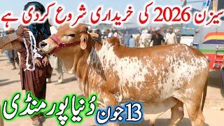 After Eid 1st Duniya Pur Mandi Fresh Rates Update | Cholistani Sahiwal Ablak Bachre | Cow Mandi 2025