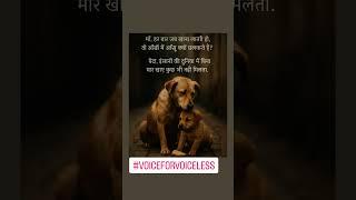 Miraculous Survival Stories of Helpless Animals | How Dogs Survive On Streets #adoptstray#savestrays