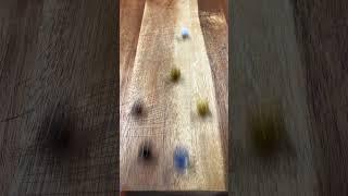 MARBLE RUN ASMR | FILL UP MY SHOPPING CARTS WITH MARBLES #ASMR #MARBLERUN