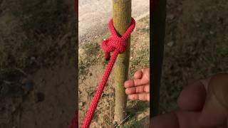 Basic Scouting Knots 