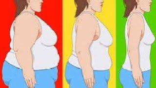 Full Body Weight Loss Exercise ( no jumping, no equipment) #fitness #weightloss #challenge