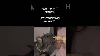 French Bulldog Eating Pizza #memes