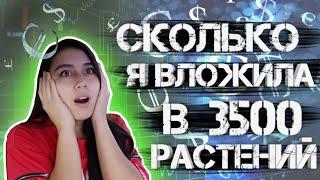 сколько я ВЛОЖИЛА в 3500 РАСТЕНИЙ? Торговля рассадой на рынке.