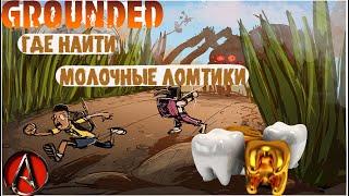 где найти все молочные ломтики (зубы) в grounded 2021 от antish | milk molar