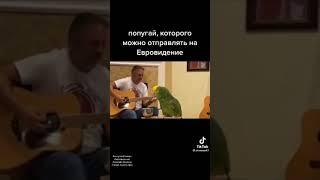 тренировка перед Евровидением