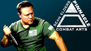 Trapping Speed Compilation - Sean Elders - Jun Fan Jeet Kune Do