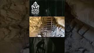 Skinwalker, Rake, or Wendigo? You decide #wendigo #paranormal #cryptid #folklore #foryourpage #yeti