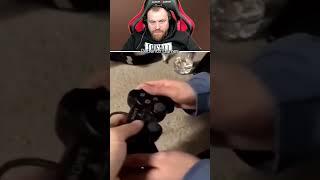 Петренто Player1 #петренто #приколы #прикол #мем #мемы #юмор #смех #funny