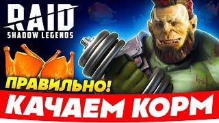 ПРОКАЧКА ГЕРОЕВRaid Shadow Legends ️Советы 2025