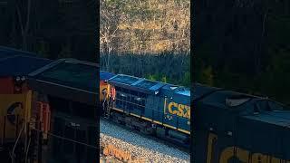 CSX 3425 & CSX 1973 Chessie System #railfans #heritageunit #foamer #heritage #trainfan #railfanning