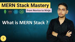 What is MERN Stack | Why use MERN Stack