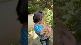 Minik kedi Çok yorgun patisini göğsüme koydu uyuyor#keşfetteyiz#keşfetedüş
