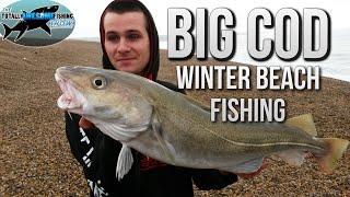 Fishing for Big Cod from the beach  | TAFishing