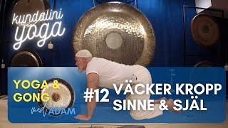 Kundaliniyoga: Yoga & Gong #12 - Yogapass som väcker kropp sinne & själ